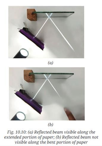 NCERT Based Activity: Light: Mirrors and Lenses | Science Curiosity Class 8 -  New NCERT