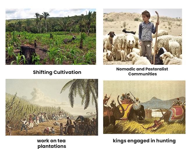 Cheatsheet : Forest Society and Colonialism | Social Studies (SST) Class 9