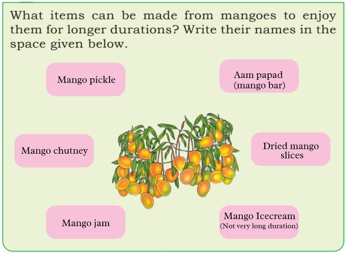 The Mystery of Food NCERT Solutions | Our Wondrous World  Class 5 - New NCERT