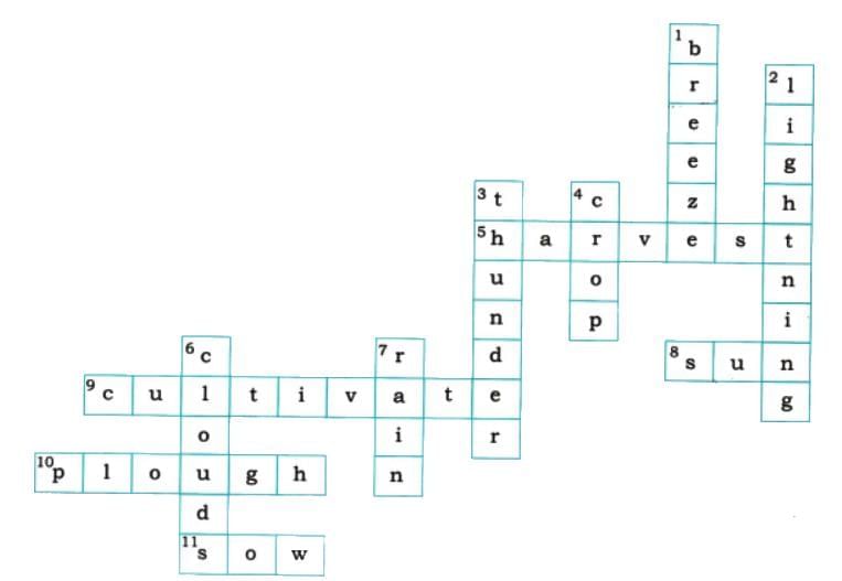 Waiting for the Rain NCERT Solutions | English Poorvi Class 8 - New NCERT