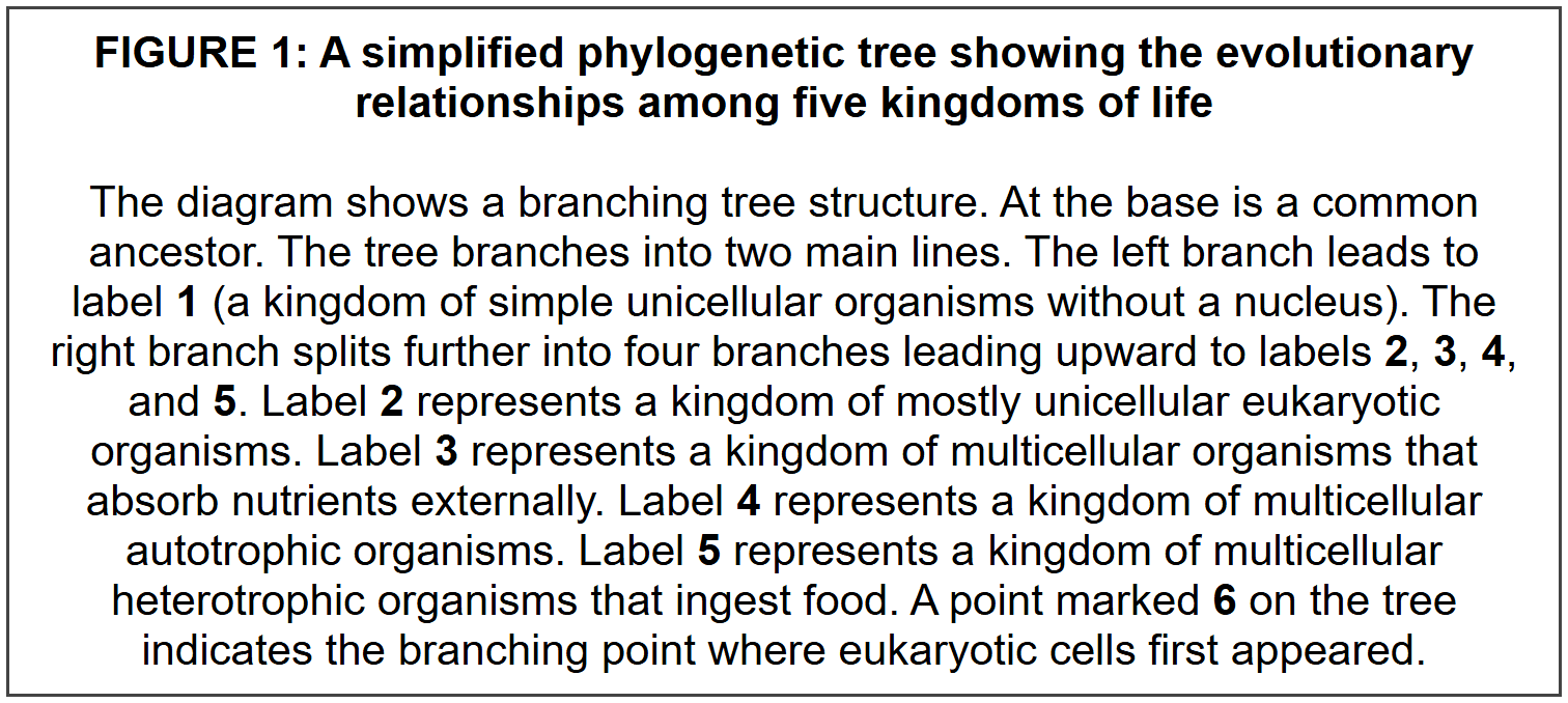 SECTION B: DIAGRAM AND LABELLING QUESTIONS
