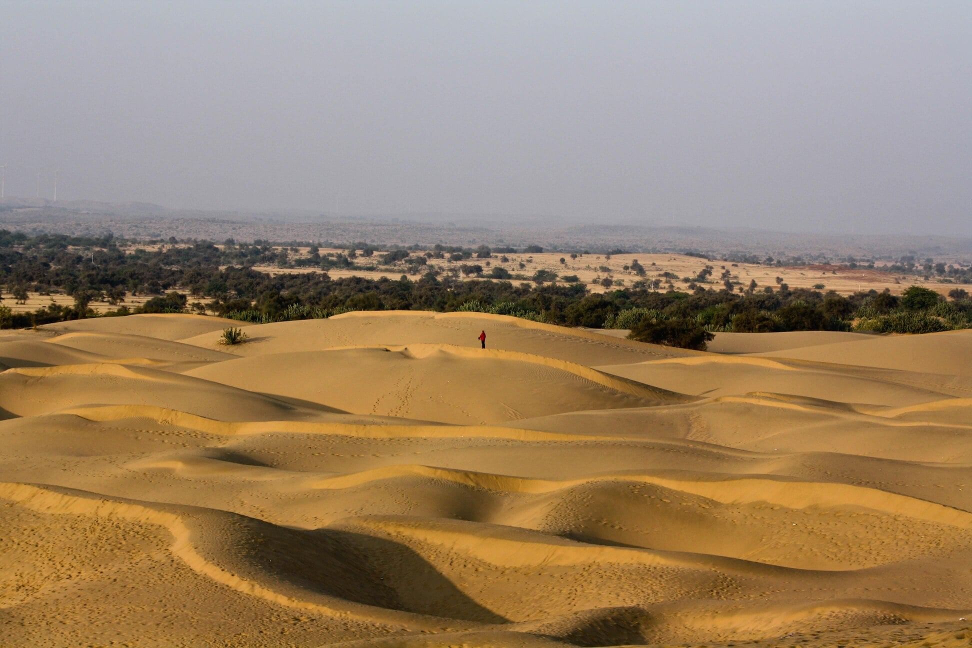 Cheatsheet: Physical Features of India | Social Studies (SST) Class 9
