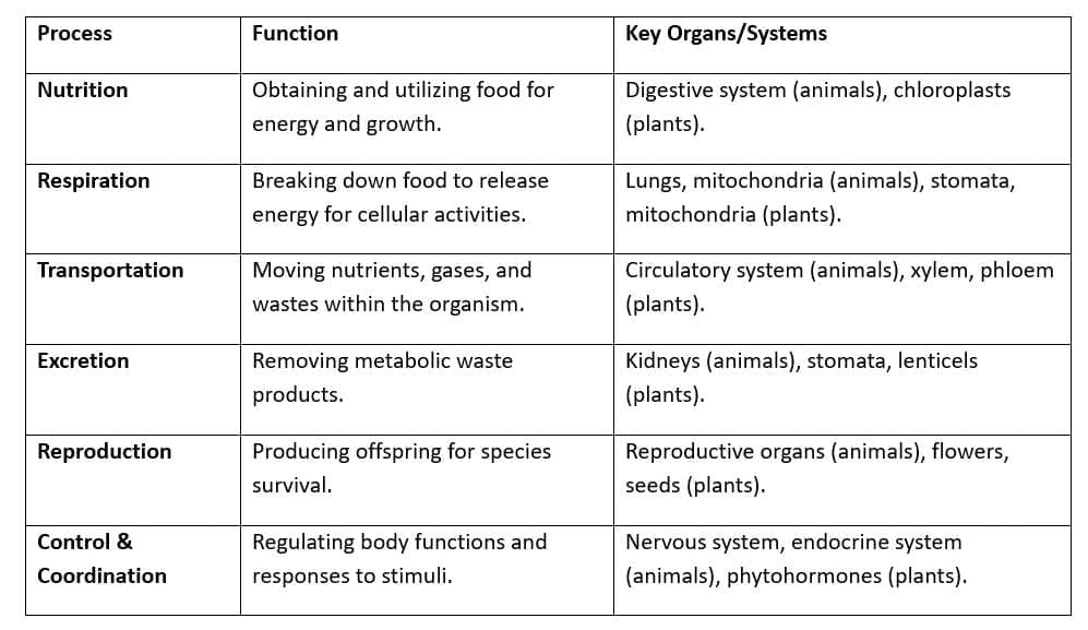 Cheat Sheet: Life Processes | Science Class 10