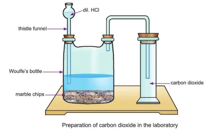 Carbon and Its Compounds Chapter Notes | Chemistry Class 8 ICSE