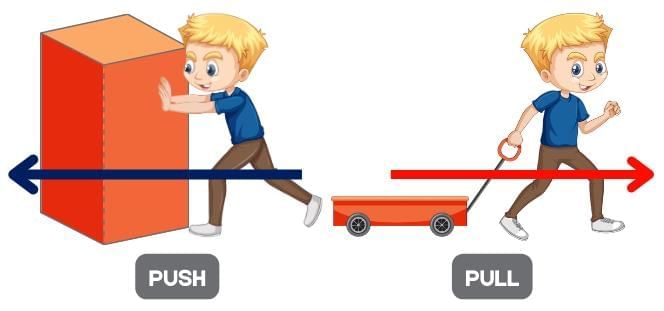 MCQ and Extra Questions - Exploring Forces | Science Curiosity Class 8 -  New NCERT