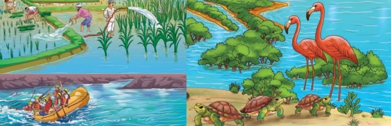 Worksheet Solutions: Journey of a River | Worksheets with Solutions for Class 5