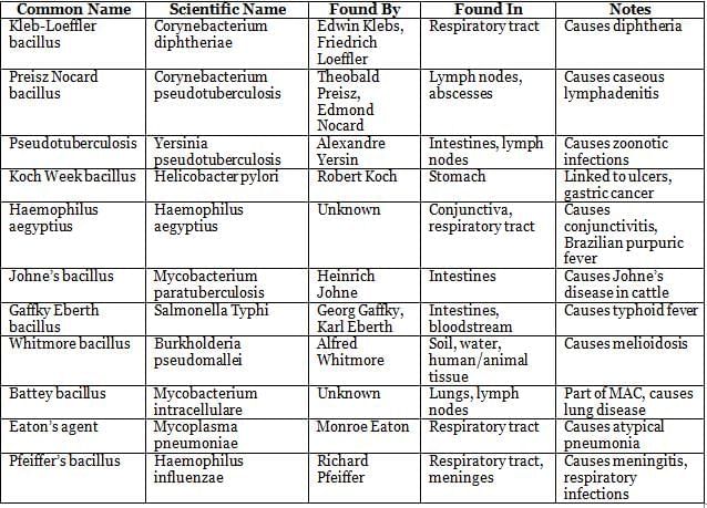 History, Taxonomy, Morphology and Physiology of Bacteria and Microbial Pathogenicity Chapter Notes | Microbiology - NEET PG