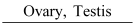 NCERT Solutions Class 11 Biology Chapter 22 - Chemical Coordination and Integration