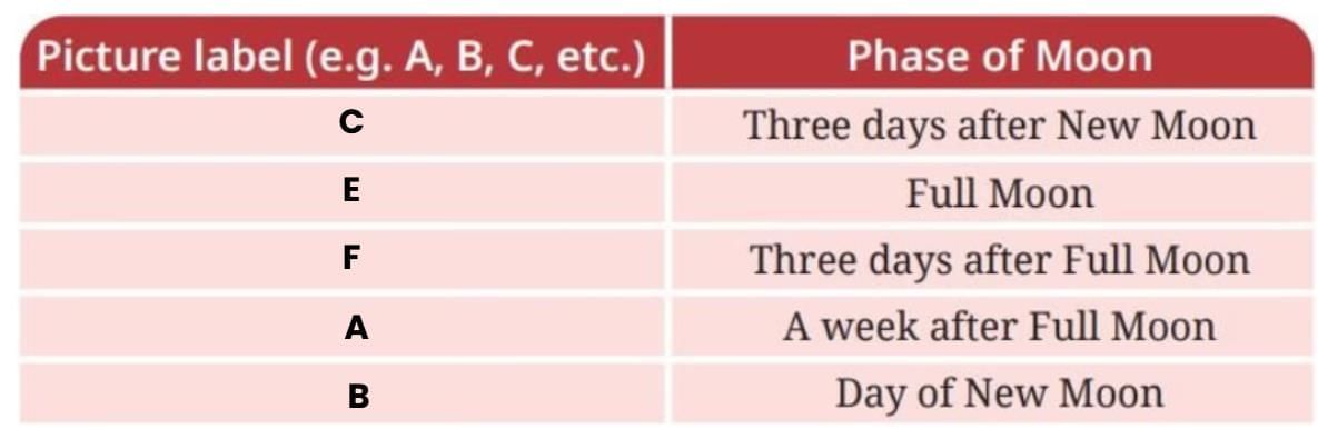 Keeping Time with the Skies NCERT Solutions | Science Curiosity Class 8 -  New NCERT
