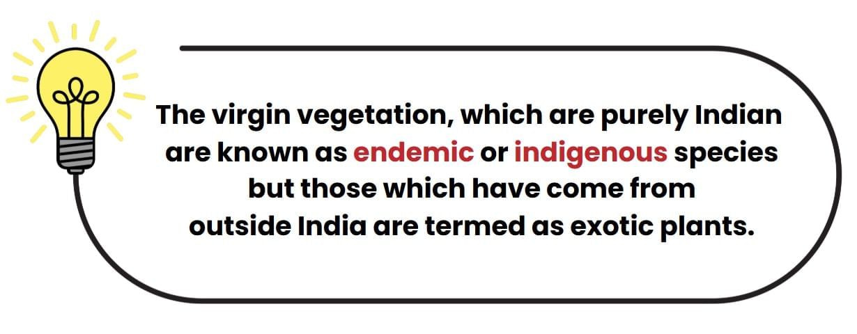 Class 9 Geography Chapter 5 Notes - Natural Vegetation and Wildlife