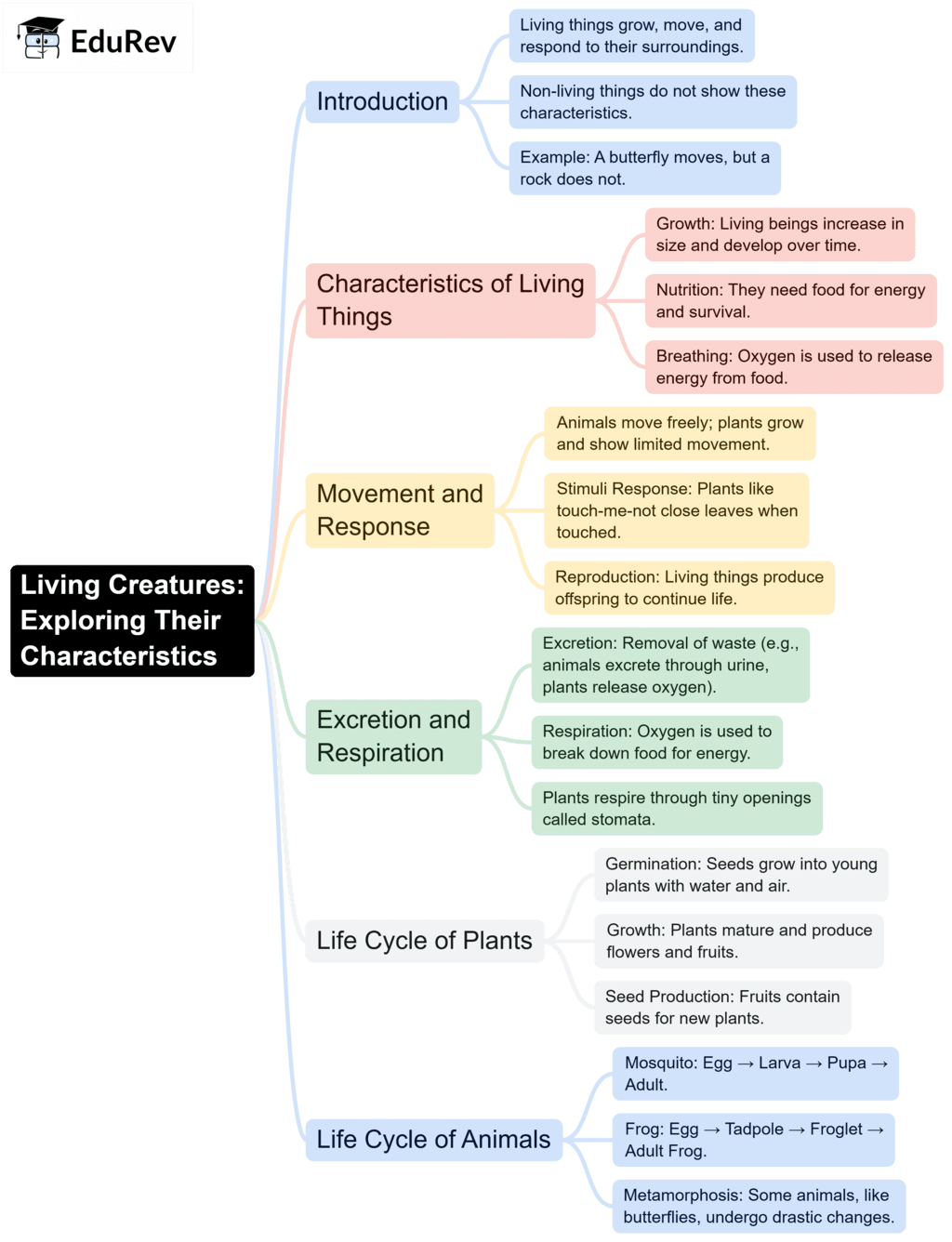 Mindmaps: Living Creatures: Exploring their Characteristics | Science Olympiad Class 6