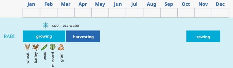 The rhythm of seasons and crops: kharif, rabi, and zaid
