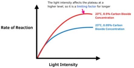 2.4.1 Atmospheric CO₂ Levels