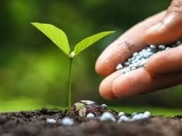Regulation of Biostimulants in India