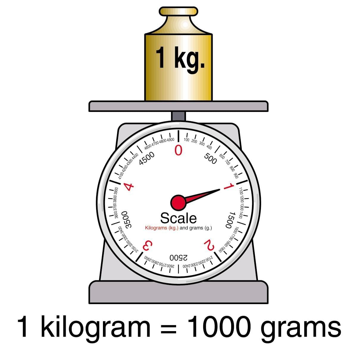 Worksheet Solutions: Weight and Capacity | Mathematics (Maths Mela) Class 5 - New NCERT