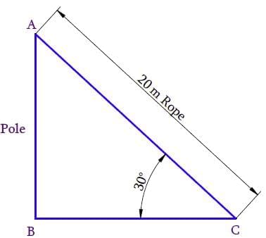 NCERT Solutions for Class 10 Maths Chapter 9 - Some Applications of Trigonometry (Exercise 9.1)