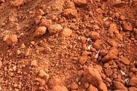 Soils of India - 1 Class 4 Worksheet SST