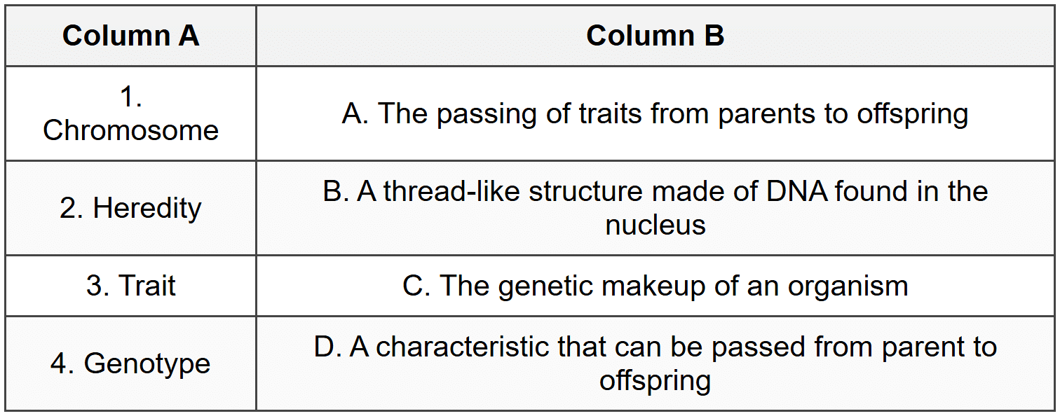 Section C: Match the Column