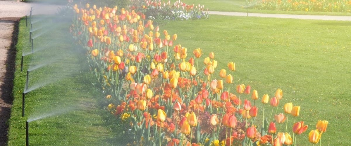 Veena Bhargava Textbook Solutions: Water Resources