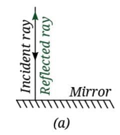 Light: Mirrors and Lenses NCERT Solutions | Science Curiosity Class 8 -  New NCERT