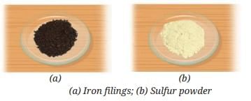 Nature of Matter: Elements, Compounds, and Mixtures Chapter Notes | Science Curiosity Class 8 -  New NCERT