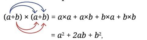 We Distribute, Yet Things Multiply Chapter Notes | Mathematics Class 8- New NCERT (Ganita Prakash)