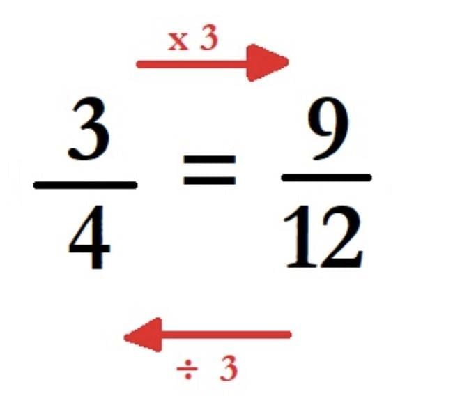 Proportional Reasoning-1 Chapter Notes | Mathematics Class 8- New NCERT (Ganita Prakash)