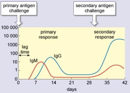 Immunity Chapter Notes | Microbiology - NEET PG