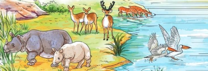 Worksheet: काजीरंगा राष्ट्रीय उद्यान की यात्रा | Worksheets with Solutions for Class 5