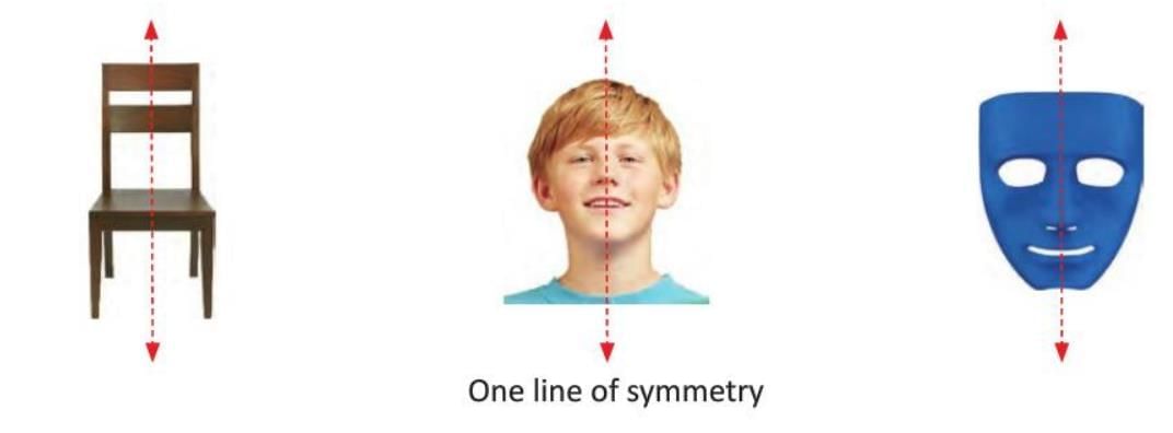 Geometry Chapter Notes | Mathematics for Grade 5