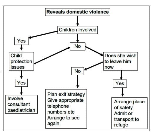 Diagram of management of DV