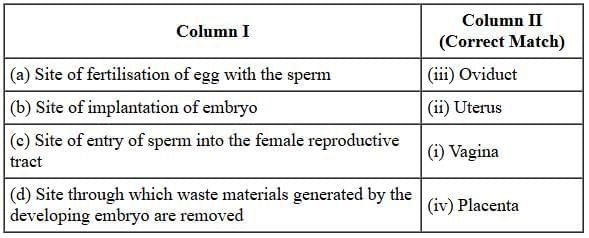 Class 10 Science Chapter 7 Previous Year Questions - How do Organisms Reproduce?