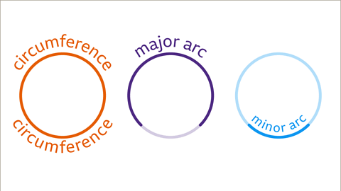 Circumference of a Circle - Year 7