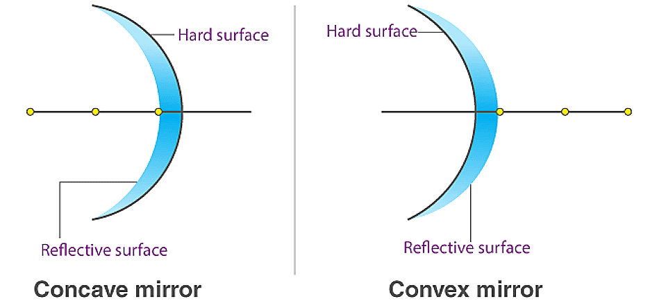 Light: Mirrors and Lenses NCERT Solutions | Science Curiosity Class 8 -  New NCERT