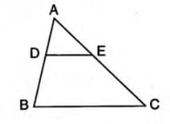 Similarity Chapter Notes | Mathematics Class 10 ICSE