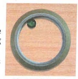 Fig.2: A marble moving inside a ring