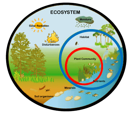 Class 7 Social Science Chapter 1 Question Answers - Environment