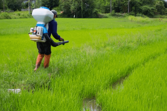 Spraying Fertilizers