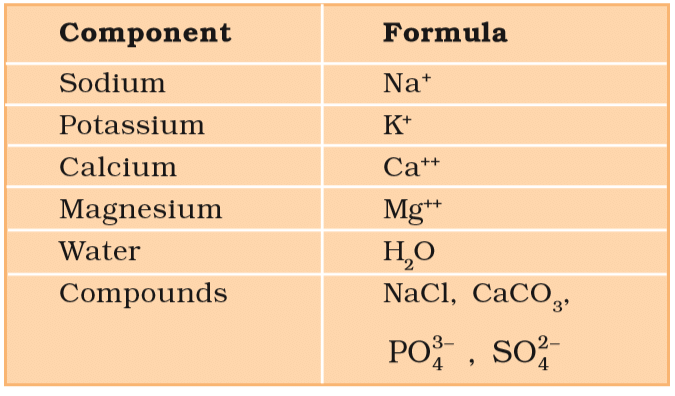 Biomolecules & Its Types | Biology Class 11 - NEET