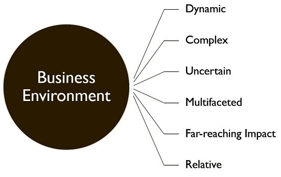 ICAI Notes- Introduction: Business Environment | Business and Commercial Knowledge (Old Scheme) - CA Foundation