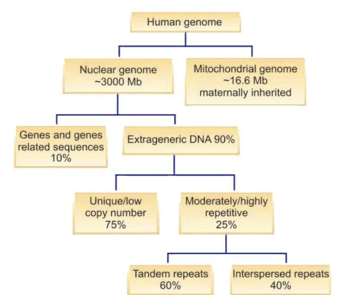 Forensic DNA Profiling - 1 Chapter Notes | Forensic Medicine and Toxicology (FMT) - NEET PG
