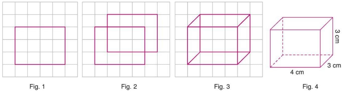 Visualizing Solid Shapes Chapter Notes | Mathematics Class 7 ICSE