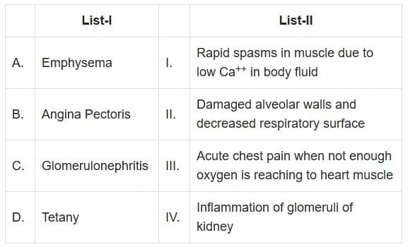 NEET Previous Year Questions (2016-2025): Breathing & Exchange of Gases | Biology Class 11
