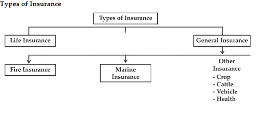 Brief of the Chapter - Business Services