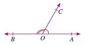 Angles Chapter Notes | Mathematics Class 6 ICSE