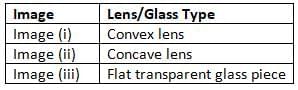 Light: Mirrors and Lenses NCERT Solutions | Science Curiosity Class 8 -  New NCERT