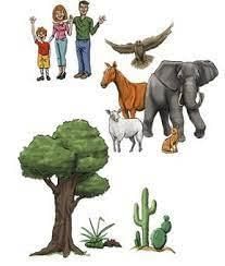 Class 5 Science - Living Things - CBSE Worksheets Solutions - 2
