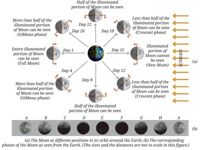 Keeping Time with the Skies Chapter Notes | Chapter Notes For Class 8