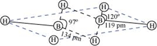 NCERT Solutions Class 11 Chemistry - The p-Block Elements