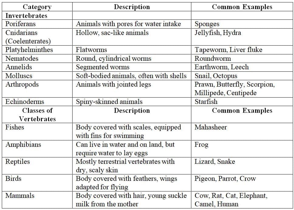 Classification of Animals Chapter Notes | Biology Class 7 ICSE